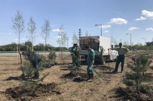Zaštitni pojas oko banjskog kompleksa i bazena u Obrenovcu