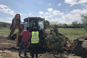 Zaštitni pojas oko banjskog kompleksa i bazena u Obrenovcu