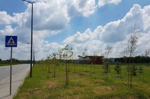Zaštitni pojas oko banjskog kompleksa i bazena u Obrenovcu