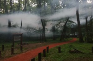 Tretiranje odraslih formi komaraca