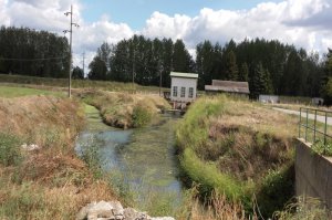 Ispitivanje bioloških indikatora površinskih voda na teritoriji GO Obrenovac
