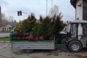 Uređenje površina oko CS „Kupinac" i merne stanice „Centar" kao i prostor oko FCS u Zabranu