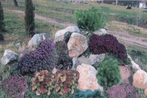 Alpinetum
