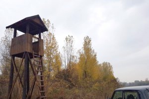Postavljanje osmatračnice za životinje