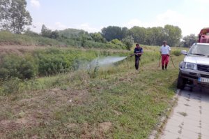 Suzbijanje korovskih bilјaka (ambrozije) u zoni zaštite kanala kroz gradsko jezgro