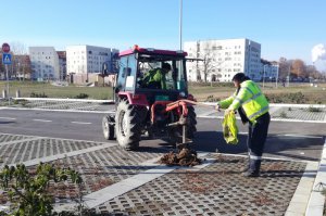 Obeležen Svetski dan čistog vazduha