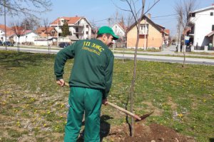 Obeležen Svetski dan šuma