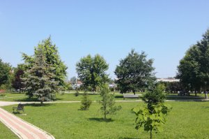 FREE WI-FI  U ARBORETUMU