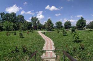 FREE WI-FI  U ARBORETUMU