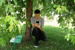 FREE WI-FI  U ARBORETUMU