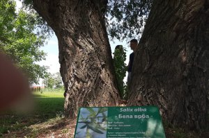 FREE WI-FI  U ARBORETUMU