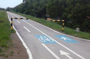 Sređivanje forlanda u Zabranu posle poplavnog talasa
