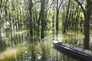 Sređivanje forlanda u Zabranu posle poplavnog talasa