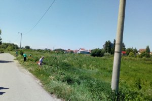 Suzbijanje ambrozije na javnim devastiranim površinama
