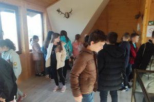 Nastavljaju se posete izložbi u Prirodnjačkom domu