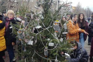 Dan jelki - početak novogodišnje proslave na Gradskom trgu
