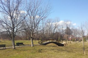 Počelo održavanje Arboretuma, Zabrana i Jozića kolibe