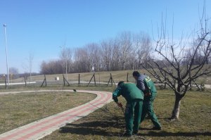 Počelo održavanje Arboretuma, Zabrana i Jozića kolibe