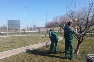Počelo održavanje Arboretuma, Zabrana i Jozića kolibe