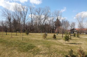 Počelo održavanje Arboretuma, Zabrana i Jozića kolibe