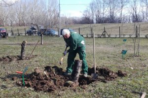 Počelo održavanje Arboretuma, Zabrana i Jozića kolibe