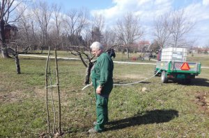 Počelo održavanje Arboretuma, Zabrana i Jozića kolibe