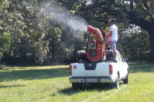 Zaštita i prihrana zaštićenih hrastova