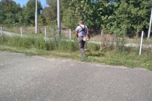 Suzbijanje ambrozije na javnim devastiranim površinama 