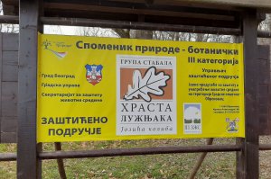 Rekonstruisana letnja bašta u Jozića kolibi