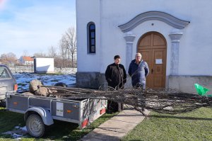 Ozelenjavanje porte u Ljubiniću