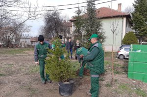 Ozelenjavanje naselja „Ciglana“