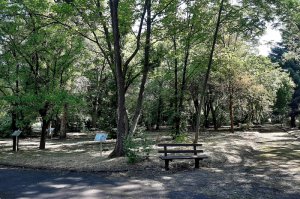 U poseti ZP Arboretum Šumarskog fakulteta