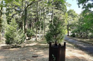 U poseti ZP Arboretum Šumarskog fakulteta