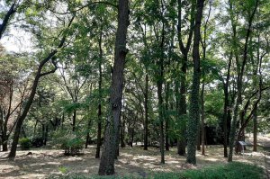 U poseti ZP Arboretum Šumarskog fakulteta