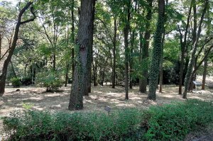 U poseti ZP Arboretum Šumarskog fakulteta