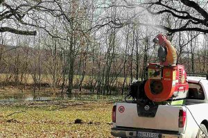 Hemijsko tretiranje stabala hrasta od bilјnih bolesti i štetočina na lokalitetu Jozića koliba