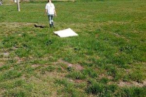 Monitoring krpelja