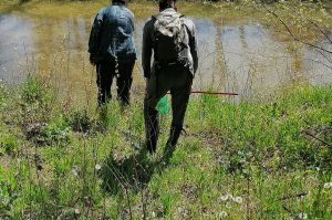 Projekat “Istraživanje faune gmizavaca i vodozemaca na prostoru Spomenika prirode „Obrenovački Zabran“