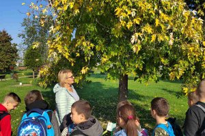 Učenici obrenovačkih osnovnih škola i pretškolci u poseti Arboretumu i ZP “Obrenovački Zabran”