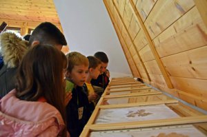 Učenici obrenovačkih osnovnih škola i pretškolci u poseti Arboretumu i ZP “Obrenovački Zabran”