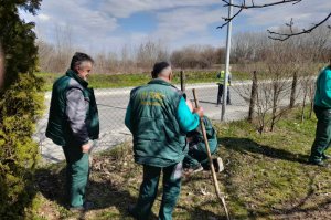 Prolećni radovi u Arboretumu - najlepšem parku u našem gradu