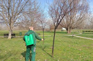 Prolećni radovi u Arboretumu - najlepšem parku u našem gradu