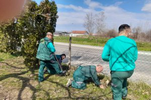 Prolećni radovi u Arboretumu - najlepšem parku u našem gradu