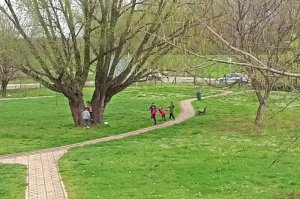 Prolećni radovi u Arboretumu - najlepšem parku u našem gradu