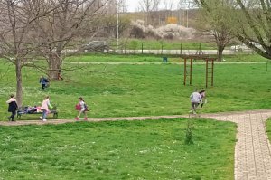 Prolećni radovi u Arboretumu - najlepšem parku u našem gradu
