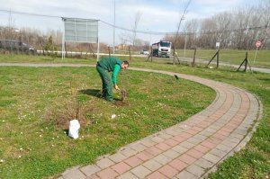 Prolećni radovi u Arboretumu - najlepšem parku u našem gradu